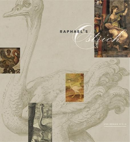 Cover image for Raphael's Ostrich