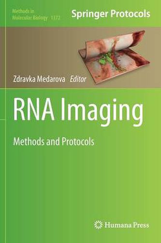 Cover image for RNA Imaging: Methods and Protocols