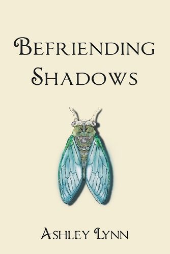 Cover image for Befriending Shadows