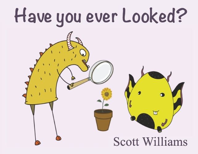 Cover image for Have You Ever Looked