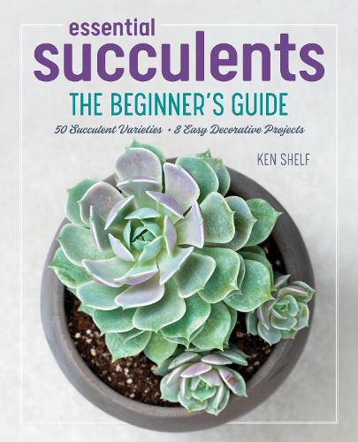 Cover image for Essential Succulents: The Beginner's Guide