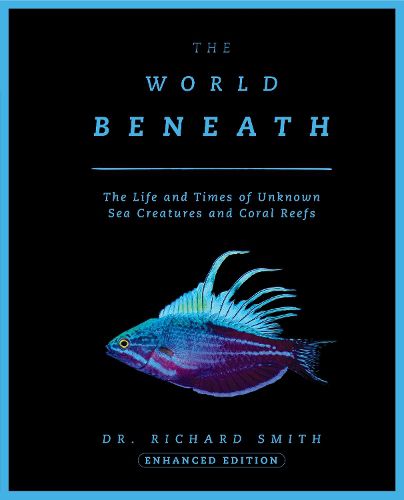 Cover image for The World Beneath