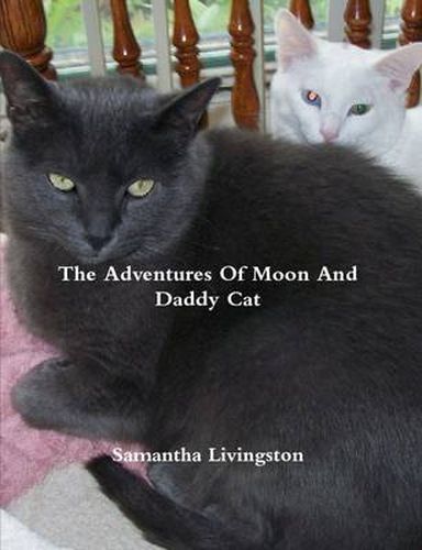 The Adventures Of Moon And Daddy Cat