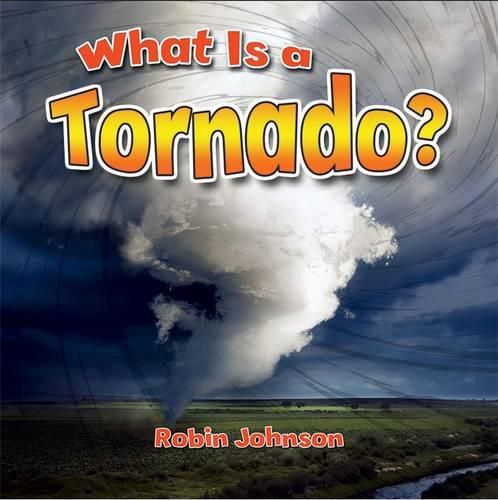 Cover image for What Is a Tornado?