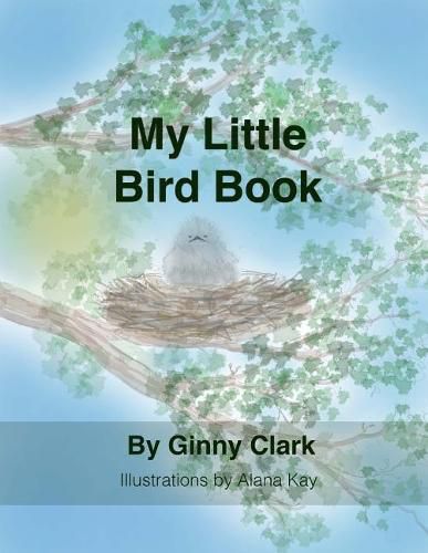 Cover image for My Little Bird Book