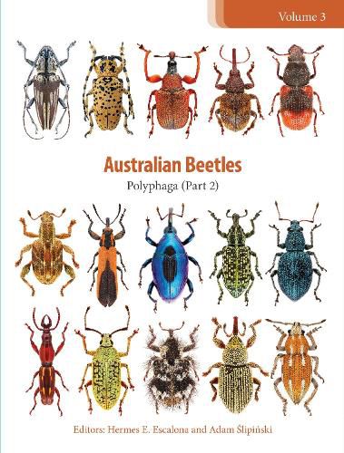 Australian Beetles Volume 3