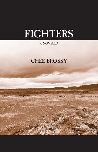 Cover image for Fighters