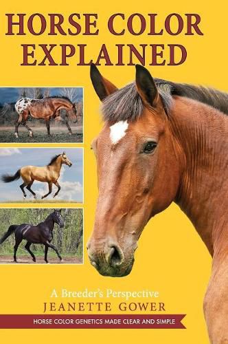 Cover image for Horse Color Explained: A Breeder's Perspective