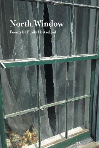 Cover image for North Window