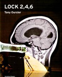 Cover image for Tony Oursler: Lock 2,4,6