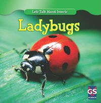 Cover image for Incredible Ladybugs