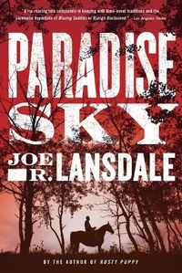 Cover image for Paradise Sky