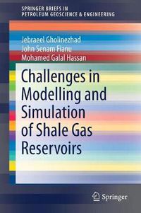 Cover image for Challenges in Modelling and Simulation of Shale Gas Reservoirs