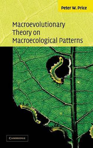 Cover image for Macroevolutionary Theory on Macroecological Patterns