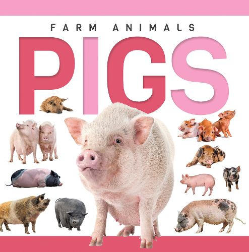 Cover image for Pigs