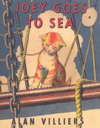 Cover image for Joey Goes to Sea