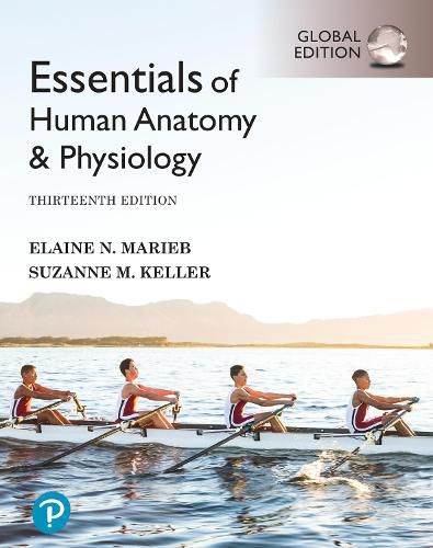 Cover image for Essentials of Human Anatomy & Physiology, Global Edition