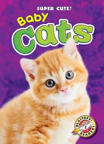 Cover image for Baby Cats