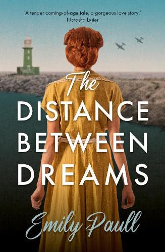 Cover image for The Distance Between Dreams