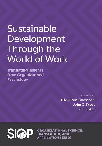 Cover image for Sustainable Development Through the World of Work