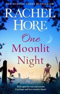 Cover image for One Moonlit Night: The unmissable new novel from the million-copy Sunday Times bestselling author of A Beautiful Spy