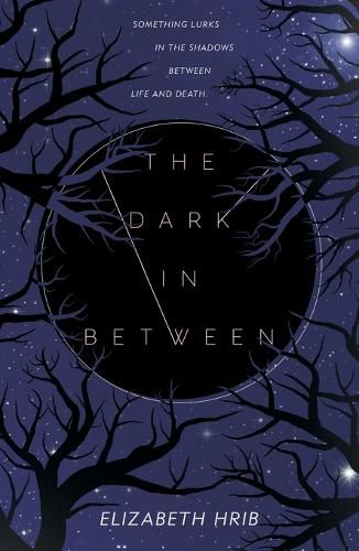 Cover image for The Dark In-Between