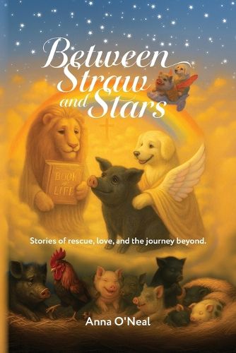 Cover image for Between Straw and Stars