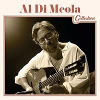 Cover image for Al Di Meola Collection