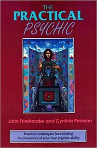 Cover image for Practical Psychic: A Survival Guide