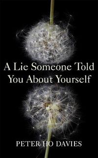 Cover image for A Lie Someone Told You About Yourself