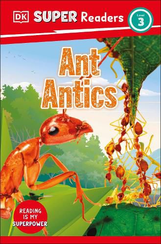 Cover image for DK Super Readers Level 3 Ant Antics