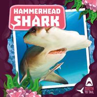 Cover image for Hammerhead Shark: Teeth to Tail