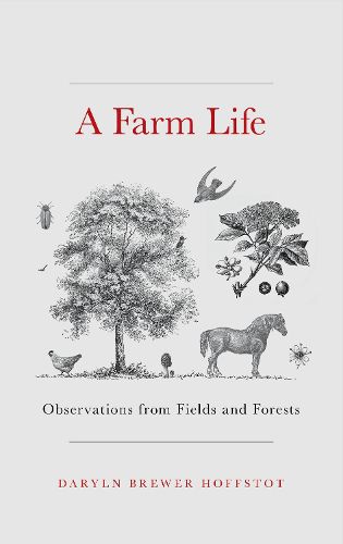 Cover image for A Farm Life: Observations from Fields and Forests