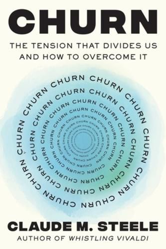 Cover image for Churn