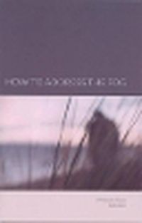 Cover image for How to Address the Fog: XXV Finnish Poems 1978-2002