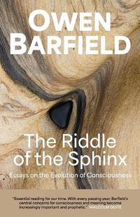 Cover image for The Riddle of the Sphinx