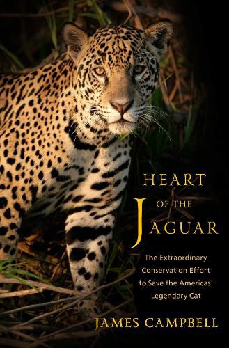 Cover image for Heart of the Jaguar