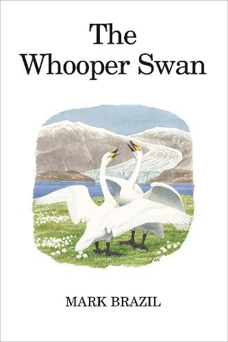 Cover image for The Whooper Swan