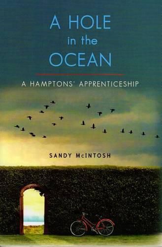 Cover image for A Hole in the Ocean: A Hamptons' Apprenticeship