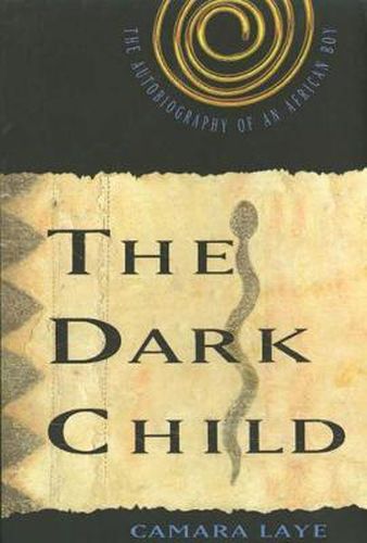 Cover image for The Dark Child