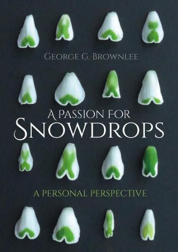 Cover image for A Passion for Snowdrops: a personal perspective