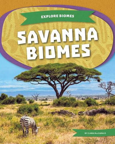 Savanna Biomes