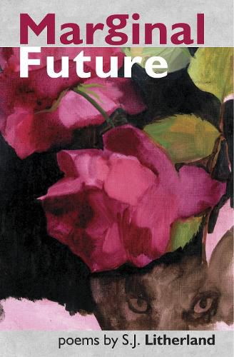 Cover image for Marginal Future