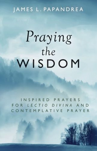 Cover image for Praying the Wisdom