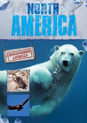 Cover image for North America