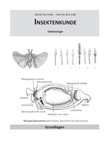 Cover image for Insektenkunde: Entomologie