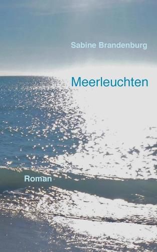 Cover image for Meerleuchten: Roman