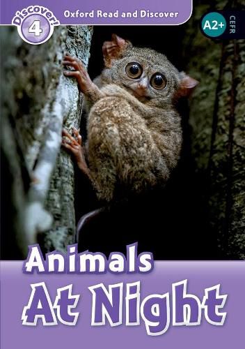 Cover image for Oxford Read and Discover: Level 4: Animals At Night Audio Pack