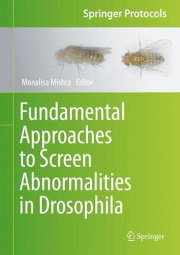Cover image for Fundamental Approaches to Screen Abnormalities in Drosophila