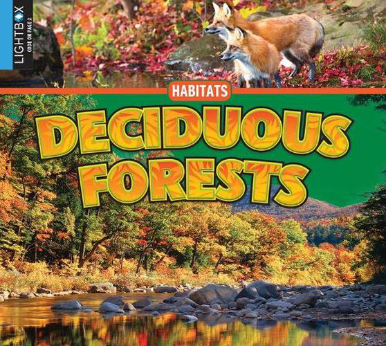 Deciduous Forests